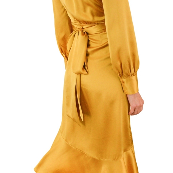 NWT Heros $650 wrap dress - Picture 3 of 6